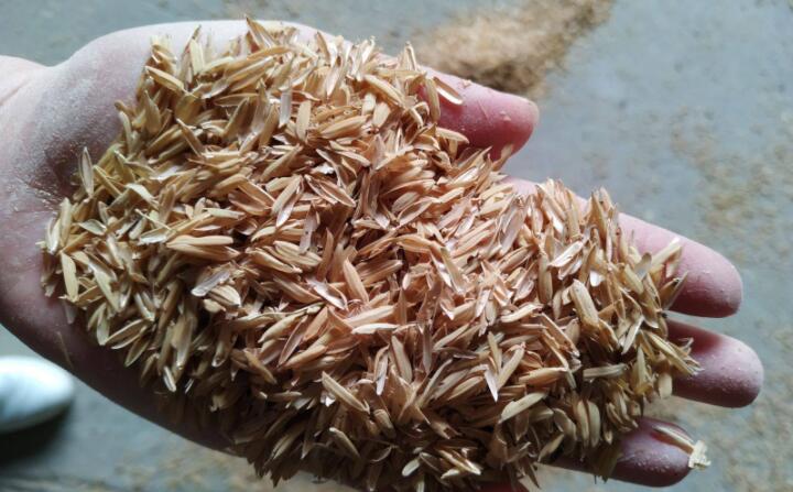 稻殼顆粒機原料稻殼