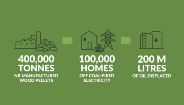 全球48%的木屑顆粒消費來自住宅和商業建筑。從2020年到2021年，歐洲家庭生物質消費量增長了18%，商業應用增長了12.5%。