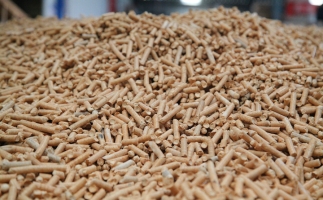 稻殼顆粒機加工技術與設備簡介