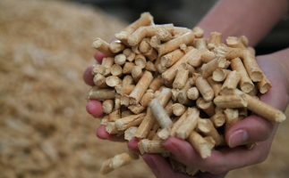 西班牙木屑顆粒機加工的顆粒燃料出口暴增